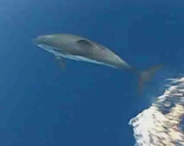 Compañeros de viaje 